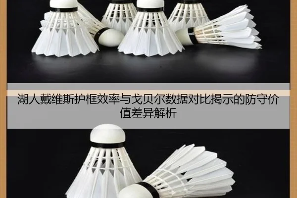 湖人戴维斯护框效率与戈贝尔数据对比揭示的防守价值差异解析